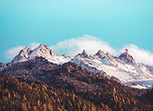 九游体育官方网站：开启体育娱乐的新纪元